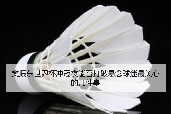 樊振东世界杯冲冠夜能否打破悬念球迷最关心的几件事 | kaiyun